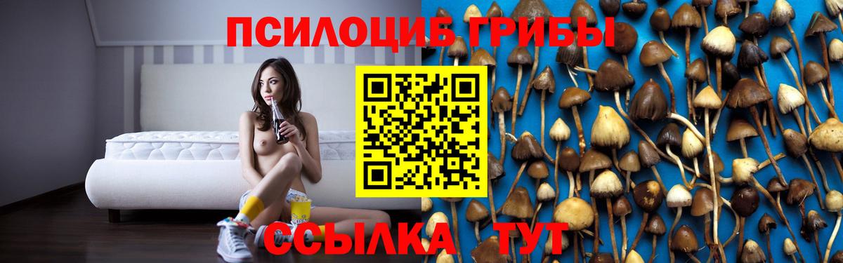 Псилоцибиновые грибы Magic Shrooms  Вход с VPN  Псилоцибиновые грибы Magic Shrooms  Вологда 